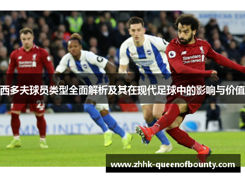 西多夫球员类型全面解析及其在现代足球中的影响与价值