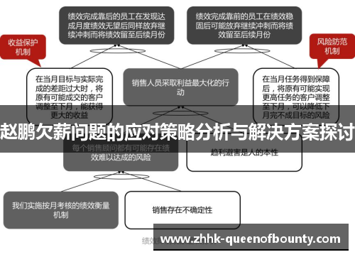 赵鹏欠薪问题的应对策略分析与解决方案探讨