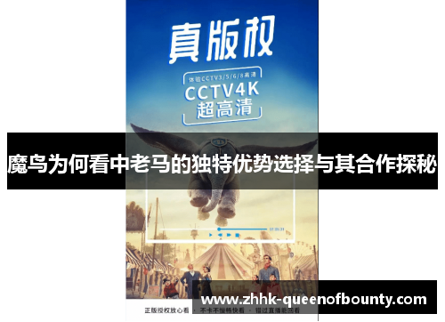魔鸟为何看中老马的独特优势选择与其合作探秘